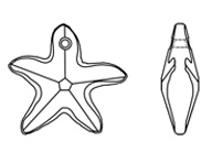 6721 Starfish